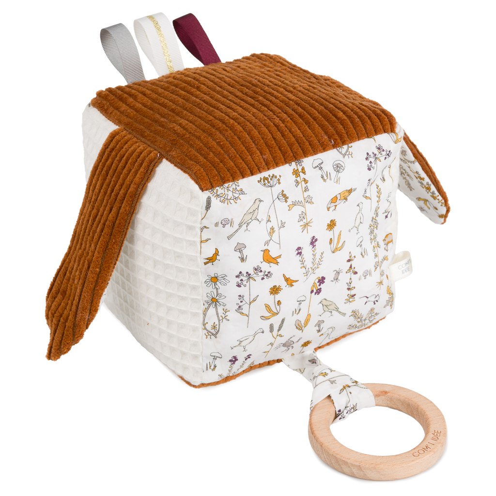 Kit Cube éveil | Olympe