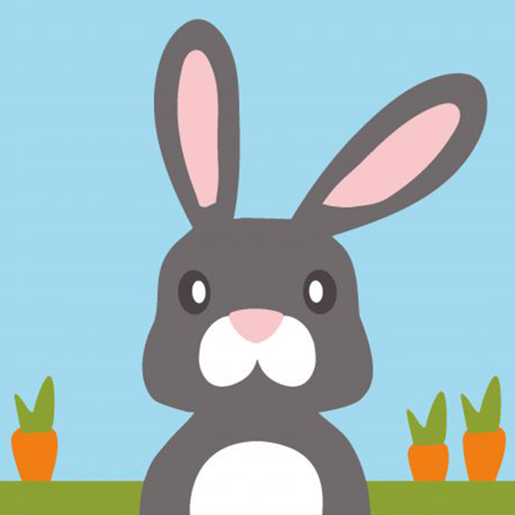 Kit canevas soudan | Mon lapin cookie