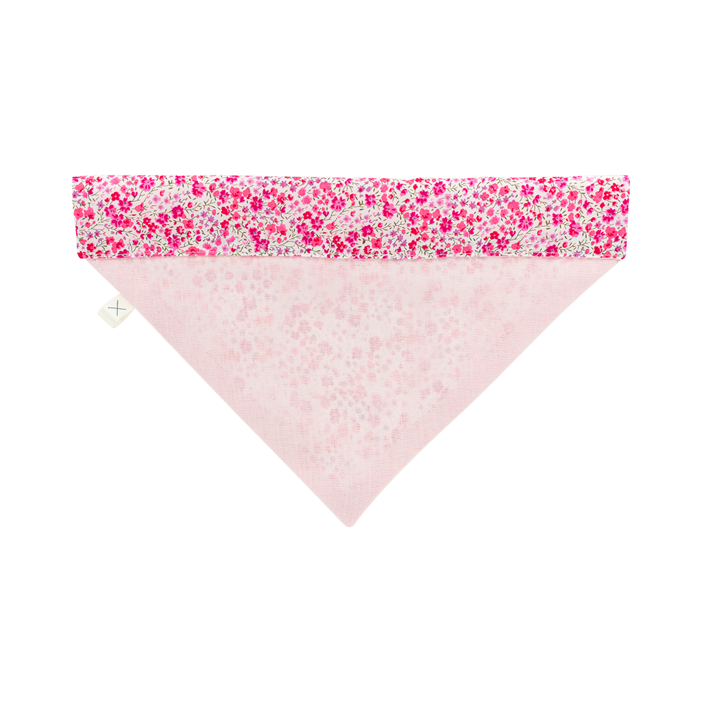 Kit Bandana et essuie-pattes chien & chat | Taya