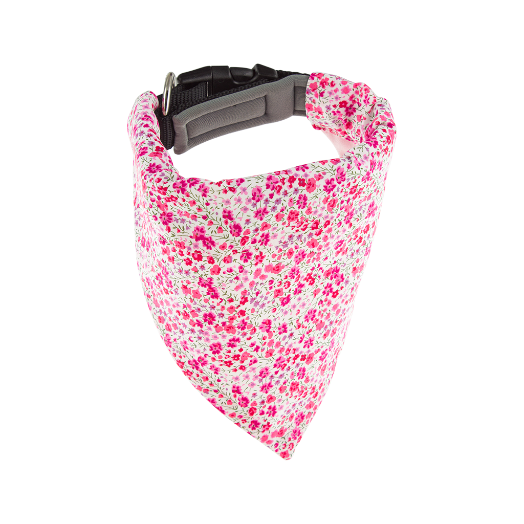 Kit Bandana et essuie-pattes chien & chat | Taya