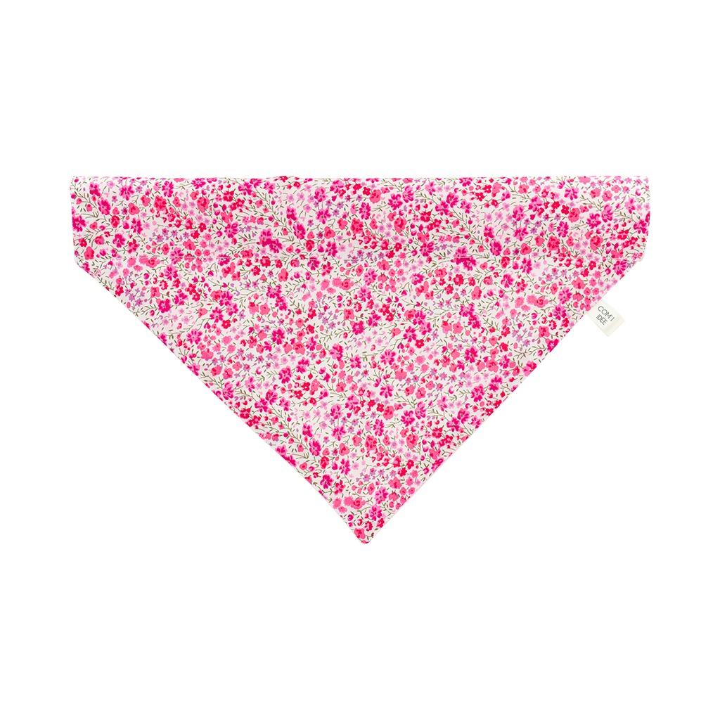 Kit Bandana et essuie-pattes chien & chat | Taya