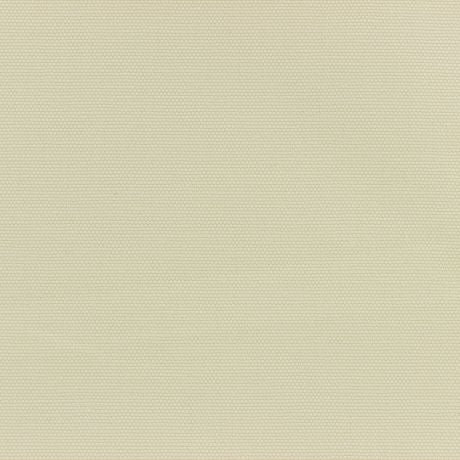 Coupon Oxford | Ecru