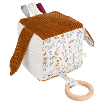 Kit Cube éveil | Olympe