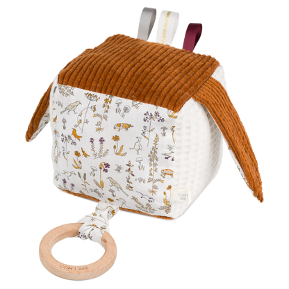 Kit Cube éveil | Olympe